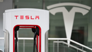 Regulador investiga nos EUA programa de condu&ccedil;&atilde;o aut&ocirc;noma da Tesla
