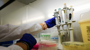 Test di genere del Cio, i medici sportivi "Si torna indietro di 30 anni"