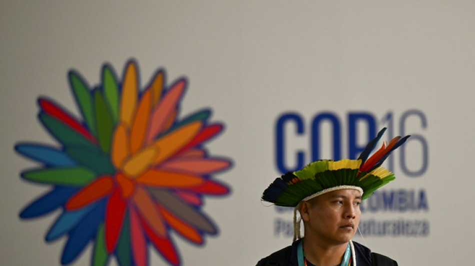 Jefe de ONU pide en apertura de COP16 "inversi&oacute;n significativa" para salvar la naturaleza