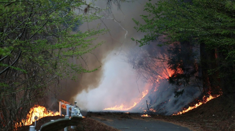 Wildfires spread towards northern Japan town