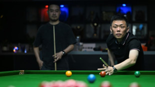 Zhao's historic snooker title sparks talk of China world domination