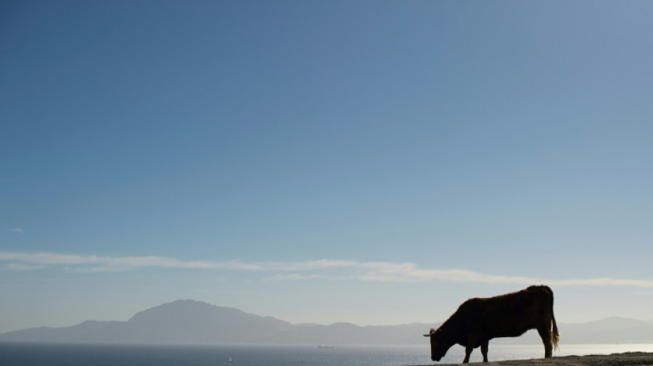 Mediterr&acirc;neo perdeu 70% de sua &aacute;gua h&aacute; 5,5 milh&otilde;es de anos