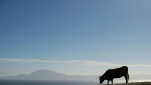 Mediterr&acirc;neo perdeu 70% de sua &aacute;gua h&aacute; 5,5 milh&otilde;es de anos