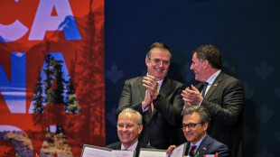 Cientos de empresarios canadienses buscan invertir en M&eacute;xico con condiciones de seguridad