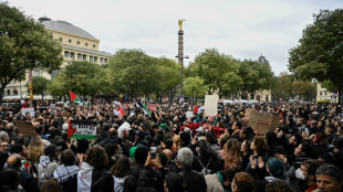 A Paris, des milliers de participants &agrave; un rassemblement pro-palestinien interdit