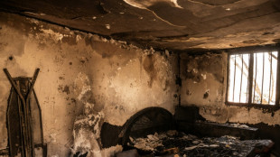 Los incendios siguen en Grecia por s&eacute;ptimo d&iacute;a