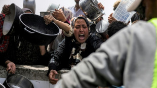 Palestinian official tells ICJ Israel using aid blockage as 'weapon of war'