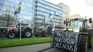 EU-Landwirtschaftsminister diskutieren &uuml;ber Agrarpolitik und Mercosur-Abkommen