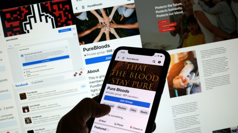 La d&eacute;sinformation sur les vaccins pousse des internautes &agrave; rechercher du "sang pur"