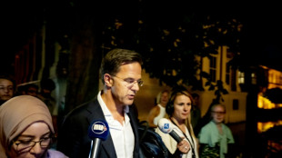 Dutch PM meets king after government falls