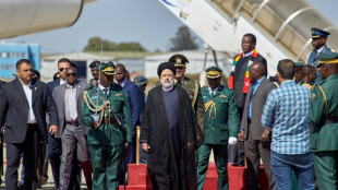Iran's Raisi visits fellow outlier Zimbabwe ahead of key vote
