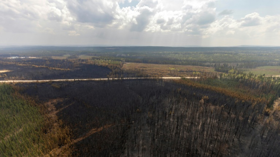 Douze parcs provinciaux ferm&eacute;s face aux risques d'incendies dans l'Ouest canadien