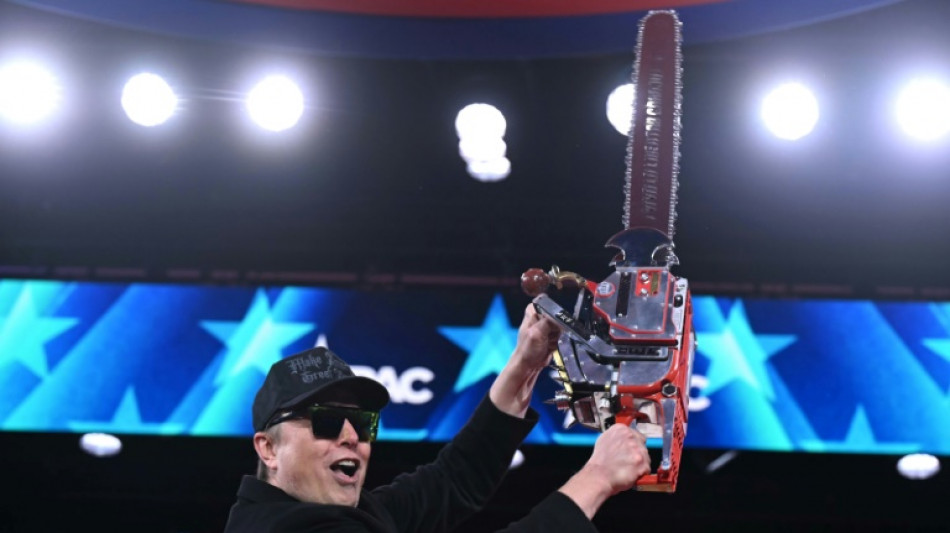 Musk, una motosierra en lo alto del Estado federal