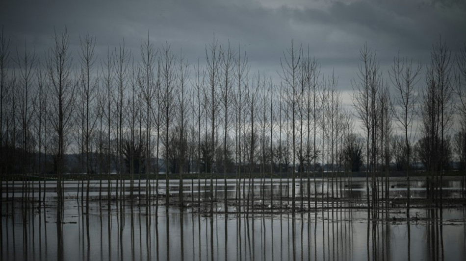 M&eacute;t&eacute;o: la Seine-et-Marne plac&eacute;e en vigilance orange en raison du risque de crues