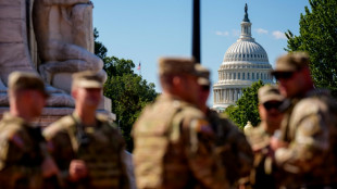 Trash, mulch and security: All jobs for troops in Washington