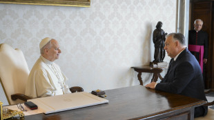 Il Papa vede Orban, conflitto in Ucraina in primo piano