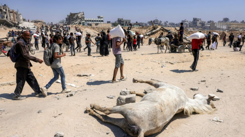 Food arrives in Gaza after Israel pauses some fighting