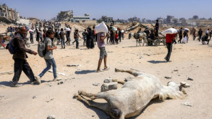 Trump warns of 'real starvation' in Gaza as aid deliveries pick up