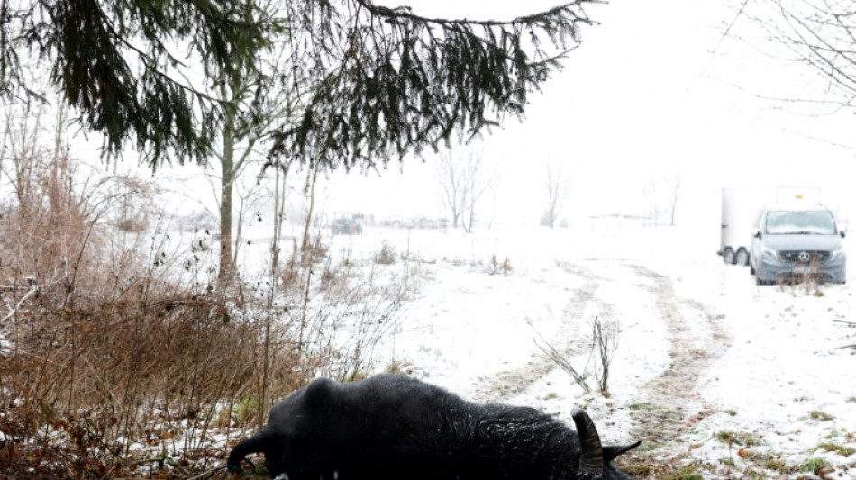 &Ouml;zdemir: Zweiter Verdachtsfall auf Maul- und Klauenseuche nicht best&auml;tigt 