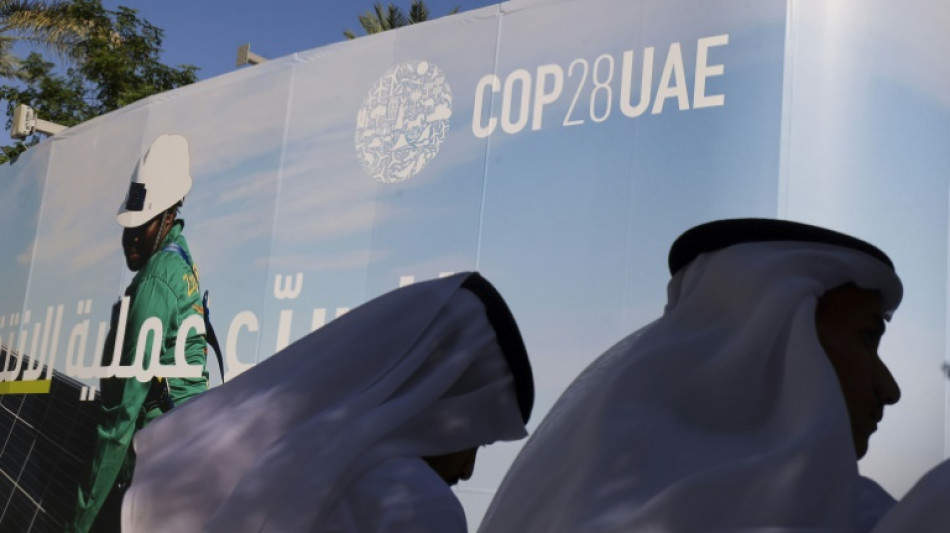 Coup d'envoi d'une COP hors norme &agrave; Duba&iuml;
