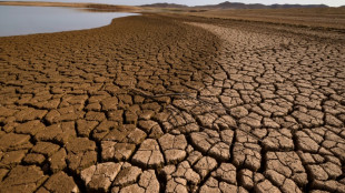 COP16: les s&eacute;cheresses co&ucirc;tent pr&egrave;s de 300 milliards d'euros par an au monde, alerte l'ONU