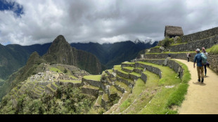 Transporte de turistas a Machu Picchu &eacute; retomado ap&oacute;s pausa por protestos