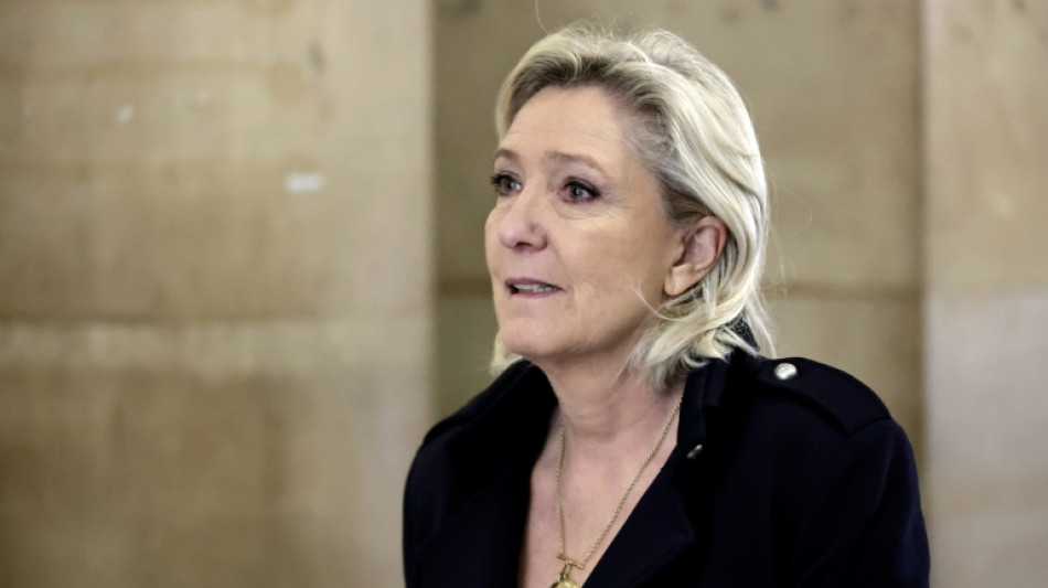 A son proc&egrave;s en appel, Marine Le Pen plaide la "bonne foi" du Front national