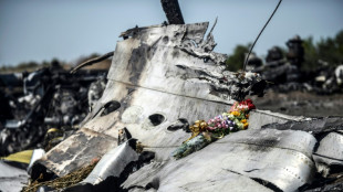 Une agence de l'ONU juge la Russie responsable de la destruction du MH17, Moscou d&eacute;nonce des "conclusions partiales"