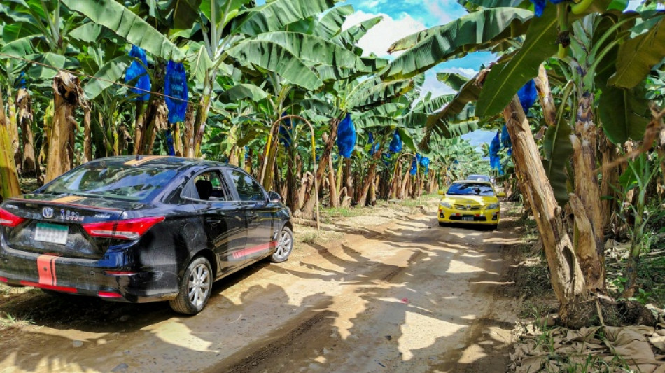 Mulino promete hacer lo posible para que bananera de EEUU regrese a Panam&aacute;