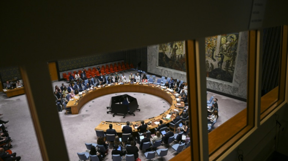 Sahara occidental: le Conseil de s&eacute;curit&eacute; de l'ONU soutien le plan d'autonomie marocain