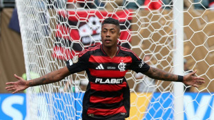 Flamengo's Henrique out for 12 games for alleged match-fixing