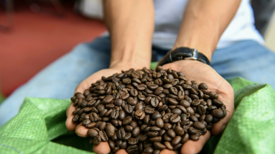 Le robusta du Vietnam, le caf&eacute; qui pourrait concurrencer l'arabica &agrave; l'heure du changement climatique