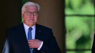 Steinmeier h&auml;lt Koalition nach Richterstreit f&uuml;r "besch&auml;digt"