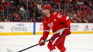 NHL: Seider siegt mit den Red Wings