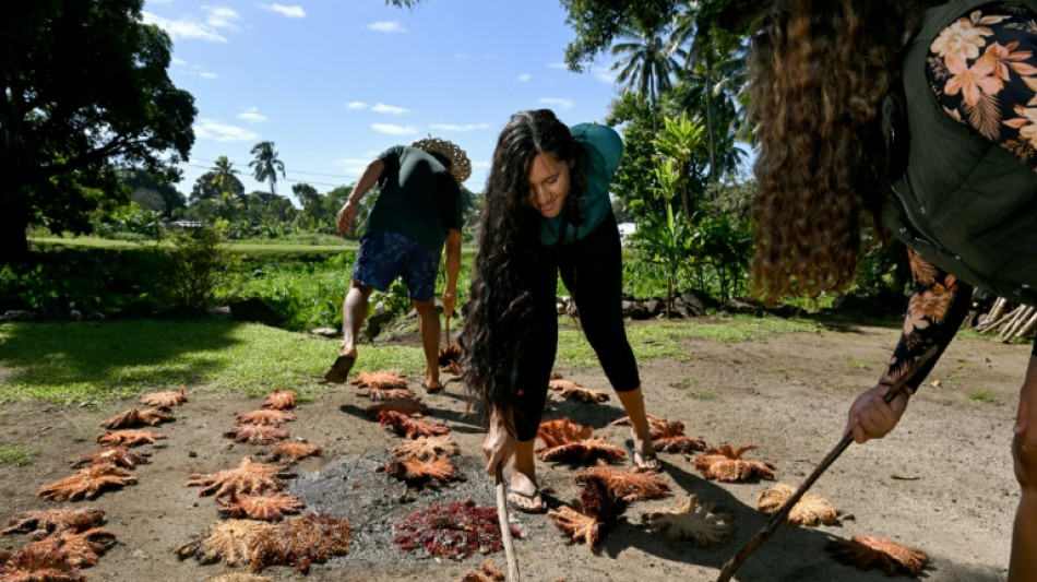 Cook Islands wages war on 'plague' of hungry starfish