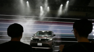 Las acciones de Nissan caen casi un 8% tras anunciar una p&eacute;rdida operativa