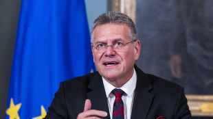Ue, 'sui dazi ogni opzione sul tavolo, domani incontro Sefcovic-Greer'