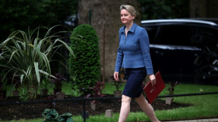 Reino Unido prohibir&aacute; al grupo Palestine Action tras una acci&oacute;n en que da&ntilde;aron aviones brit&aacute;nicos