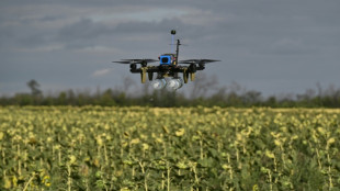 Sci-fi or battlefield reality? Ukraine's bet on swarm drones