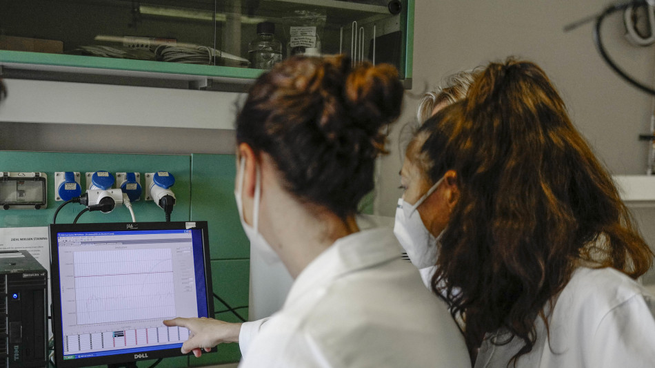 Sviluppati materiali dinamici, solidi che diventano morbidi con l'acqua