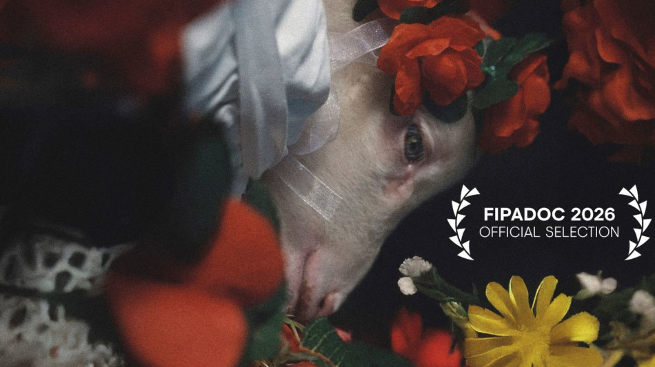 Dopo il premio a Biarritz, il docu-film Agnus Dei di Camaiti acclamato a Parigi