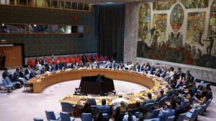 EUA veta na ONU resolu&ccedil;&atilde;o que pedia cessar-fogo em Gaza