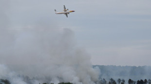 Bretagne: 100 hectares br&ucirc;l&eacute;s dans la for&ecirc;t de Broc&eacute;liande pr&egrave;s de Rennes