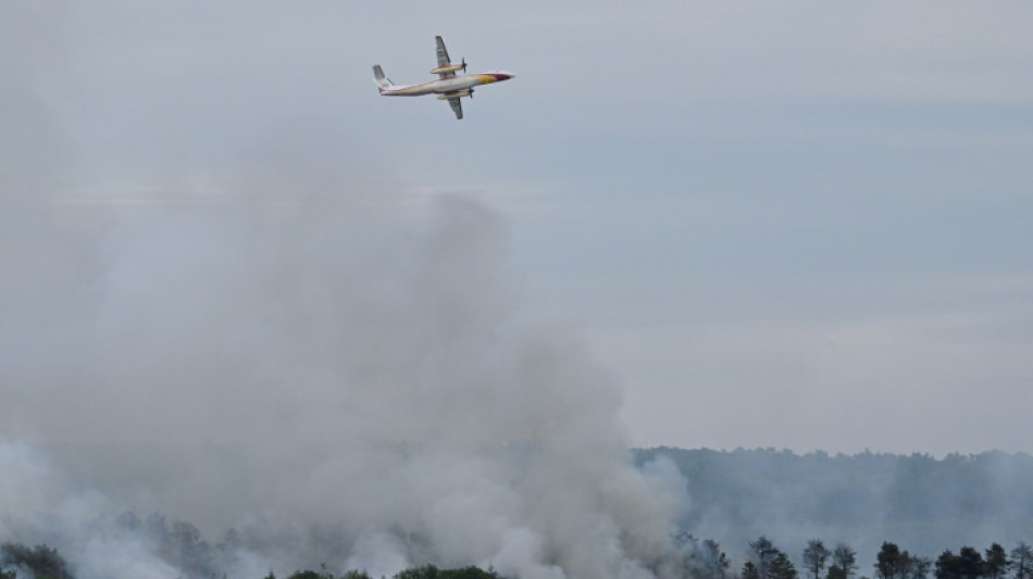 Bretagne: l'incendie dans la for&ecirc;t de Broc&eacute;liande est fix&eacute;