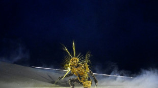 Cerim&ocirc;nia de encerramento de Paris-2024 promove diferentes impress&otilde;es entre espectadores