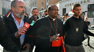 C&oacute;nclave para elegir sucesor de Francisco pierde a dos cardenales y votar&aacute;n 133