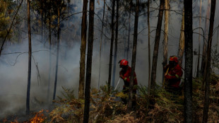 Le sud de l'Europe en proie aux incendies, pic de chaleur dans la p&eacute;ninsule ib&eacute;rique
