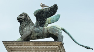 Made in China? The remarkable tale of Venice's iconic winged lion
