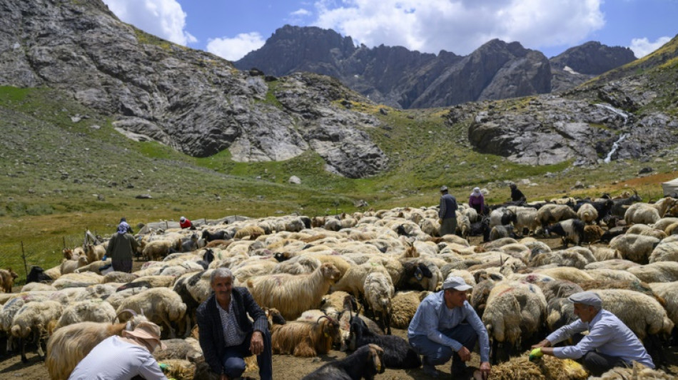 Kurdish farmers return to mountains in peace as PKK tensions calm