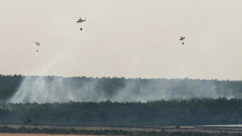 Les incendies ont d&eacute;vast&eacute; 30.000 hectares suppl&eacute;mentaires en 24 heures en Espagne